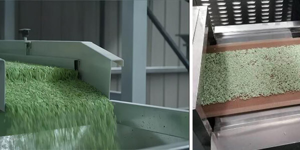 China cat litter manufacturers