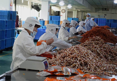 China pet chew product manufacturers