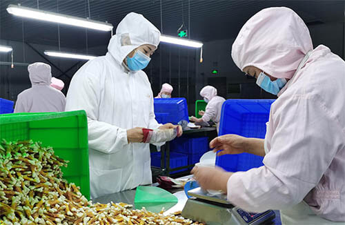 China Pet Product Manufacturers 2